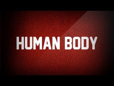 human body parts name